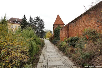 Mury miejskie w Głogowie