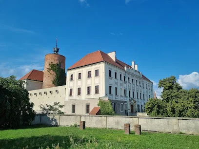 Zamek Książąt Głogowskich